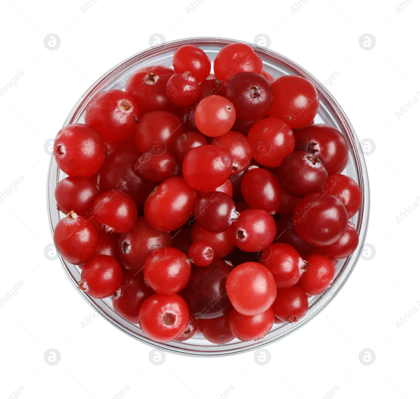 Photo of Bowl of fresh ripe cranberries isolated on white, top view