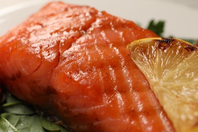 Photo of Tasty grilled salmon with tomatoes, lemon and basil, closeup