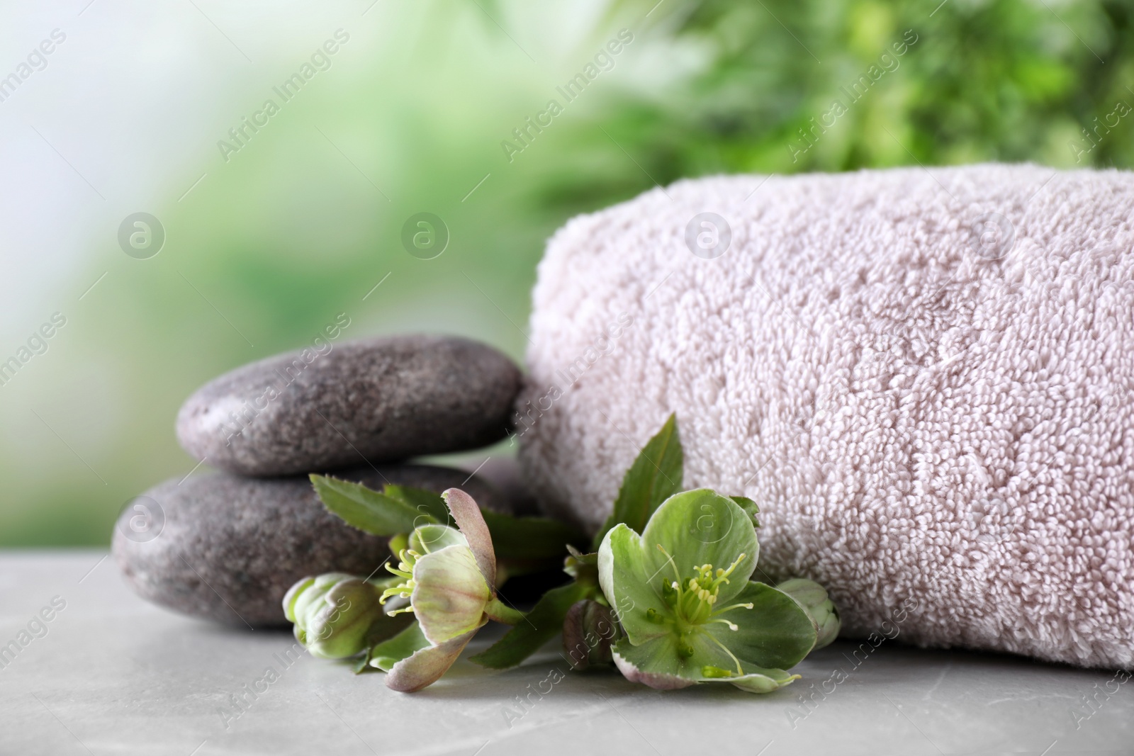 Photo of Composition with flowers, spa stones and towel on grey table against blurred background