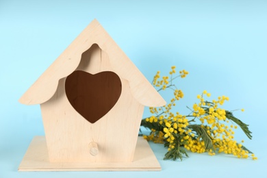 Beautiful bird house and mimosa flowers on light blue background