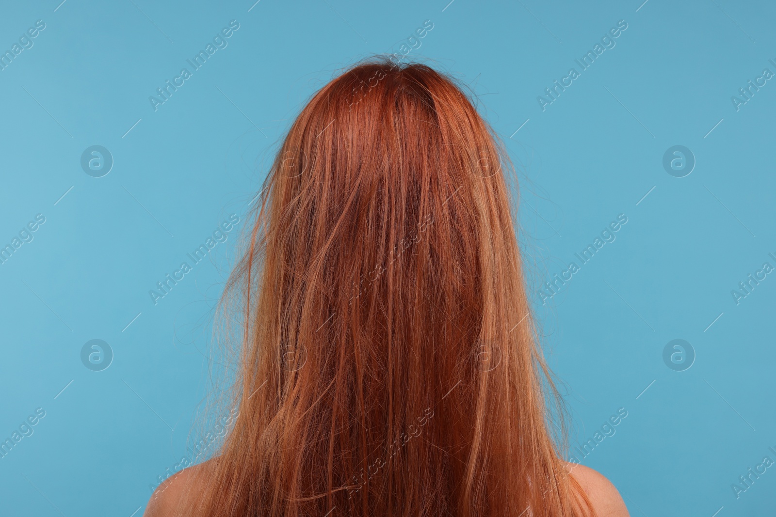 Photo of Woman with damaged messy hair on light blue background, back view