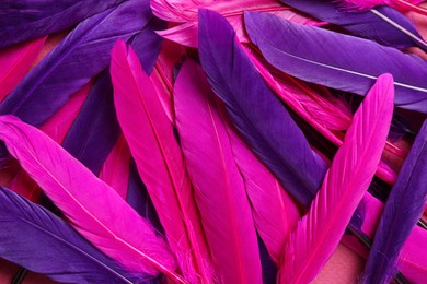 Photo of Many beautiful purple and pink feathers as background, closeup