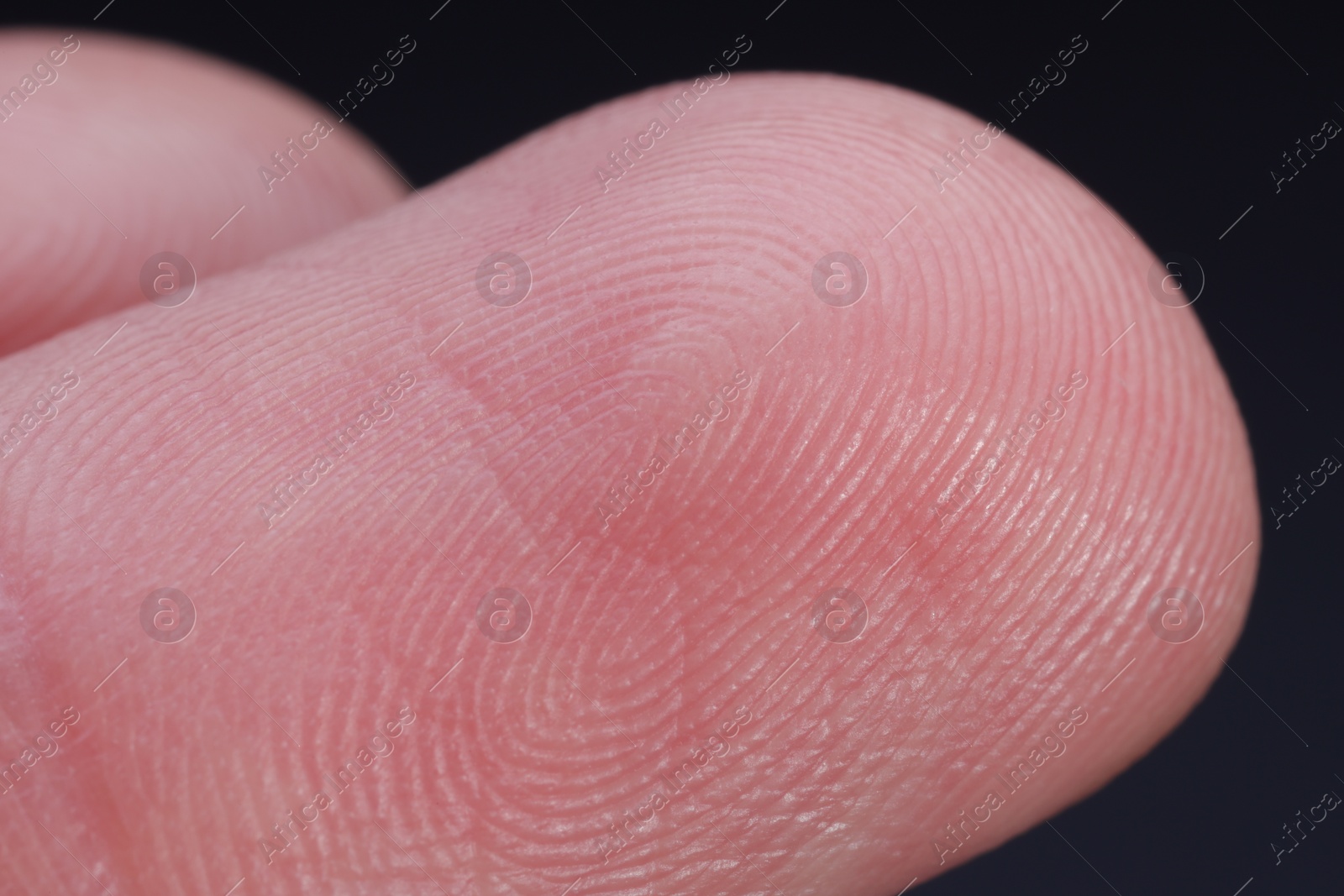 Photo of Finger with friction ridges on dark background, macro view