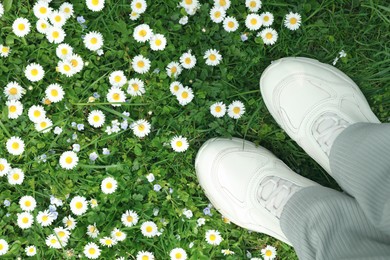 Photo of Woman standing on green meadow with beautiful chamomile flowers, top view