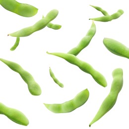 Image of Many green edamame pods falling on white background