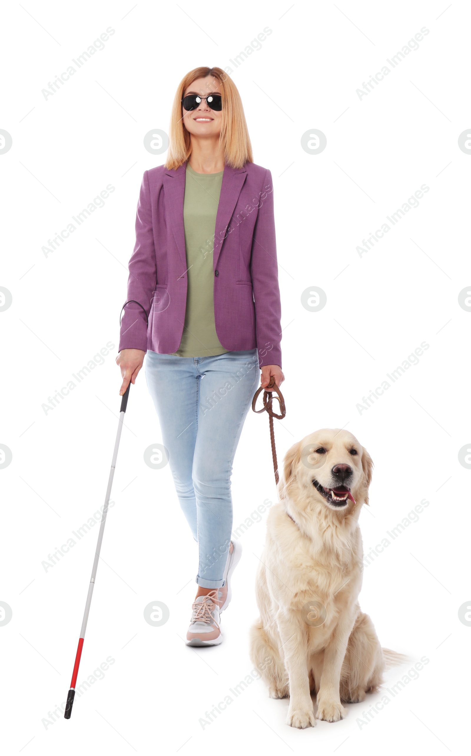 Photo of Blind person with long cane and guide dog on white background