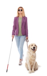 Blind person with long cane and guide dog on white background