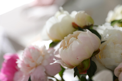 Photo of Beautiful blooming peonies against blurred background, closeup