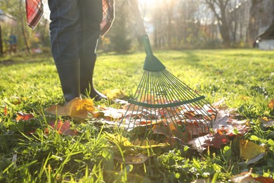 Woman raking fall leaves in park, closeup