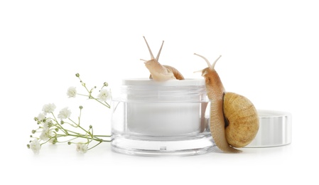 Photo of Snails, jar with cream and flowers isolated on white