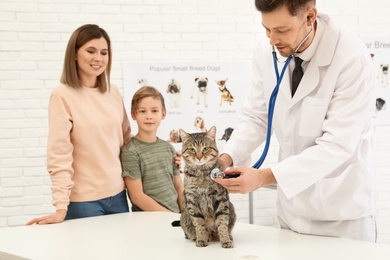 Photo of Mother and son with their pet visiting veterinarian in clinic. Doc examining cat