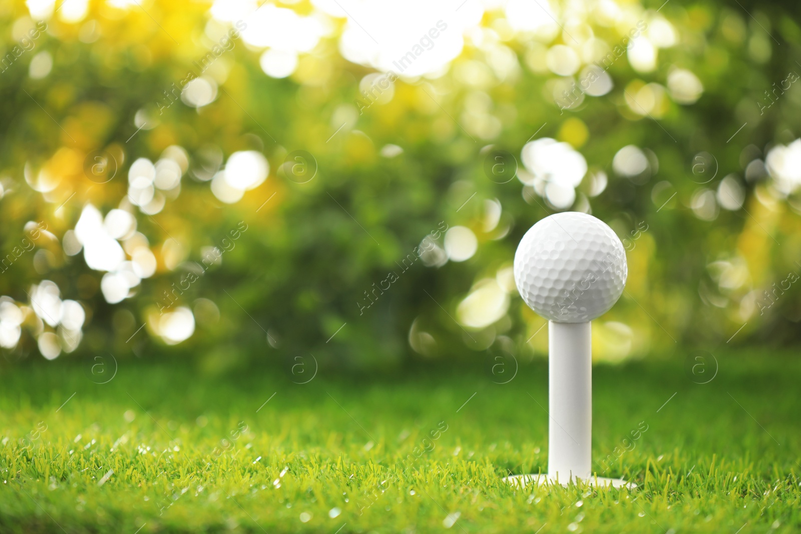 Photo of Golf ball on tee at green course