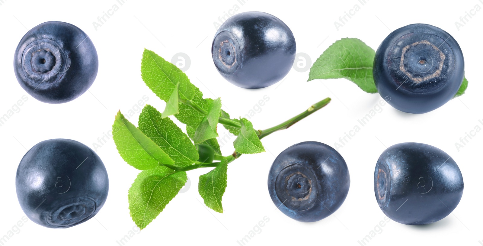 Image of Set with fresh ripe bilberries and green leaves isolated on white