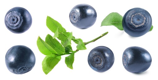 Image of Set with fresh ripe bilberries and green leaves isolated on white