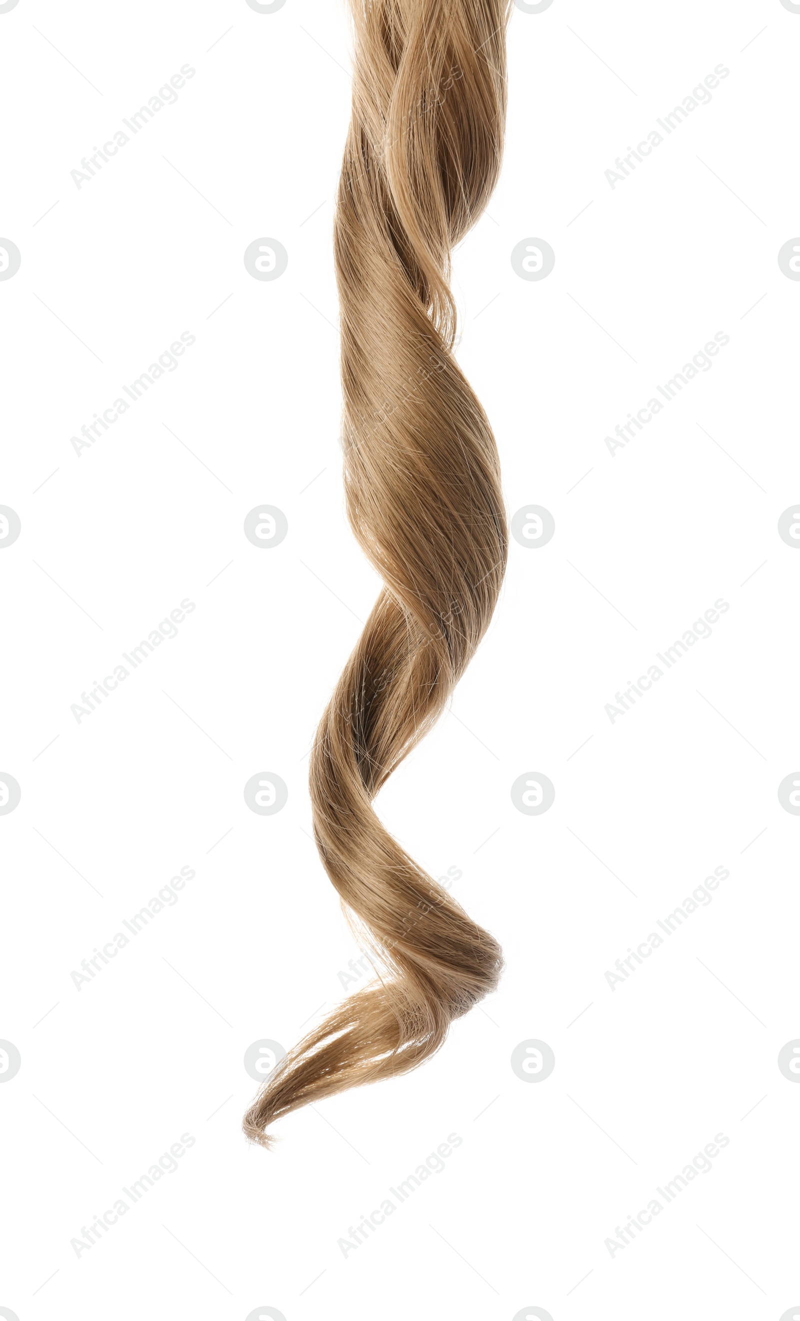 Photo of Lock of healthy hair on white background