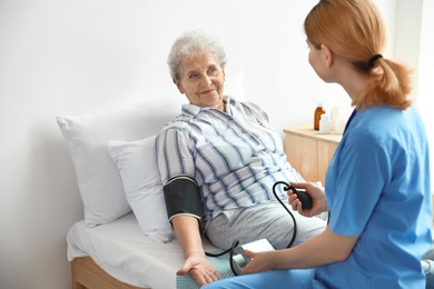 Nurse measuring blood pressure of elderly woman indoors. Medical assistance