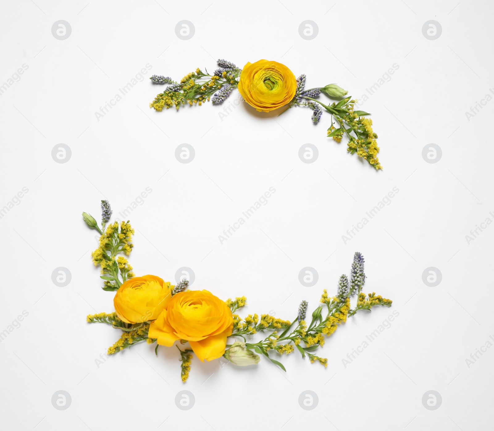 Photo of Floral composition with beautiful flowers on white background, flat lay. Space for text
