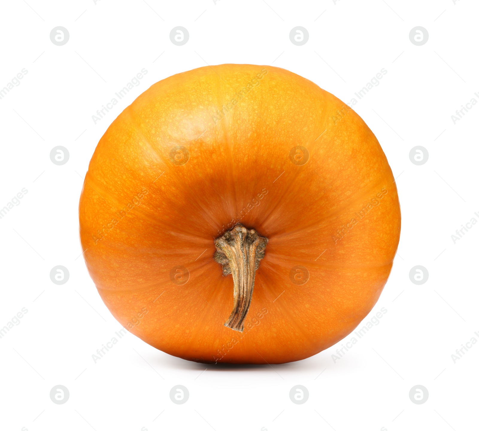 Photo of One fresh orange pumpkin isolated on white