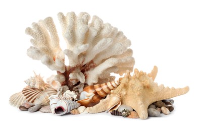 Photo of Beautiful exotic sea coral, shells and starfish on white background