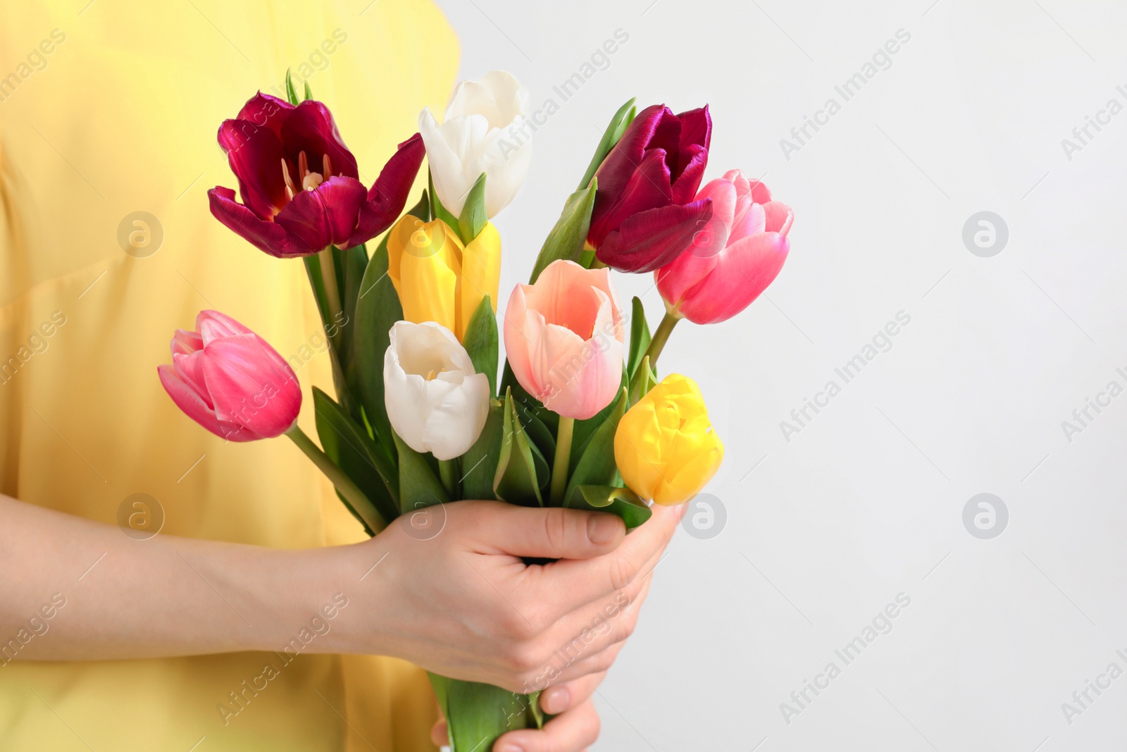 Photo of Girl holding bouquet of beautiful spring tulips on light background, closeup. International Women's Day