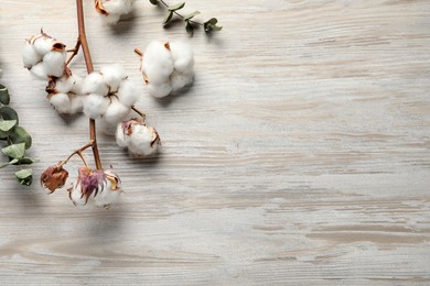 Photo of Dry cotton branch with fluffy flowers on wooden table, flat lay. Space for text