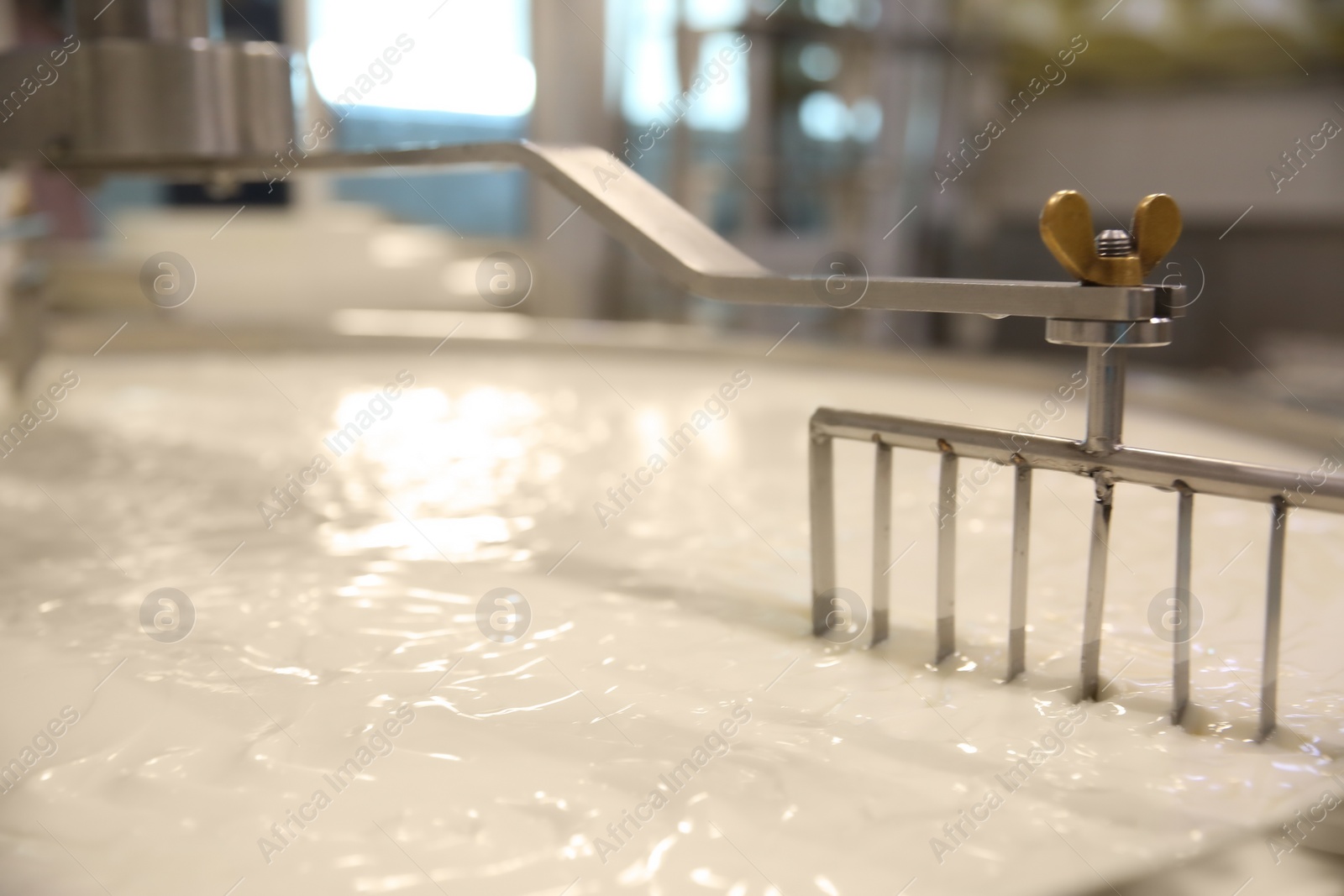 Photo of Curd and whey in tank at cheese factory, closeup