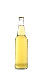 Photo of Bottle of tasty cold beer on white background