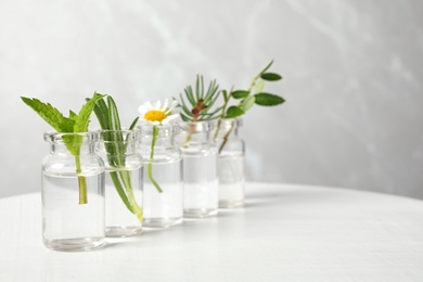 Glass bottles of different essential oils with plants on table. Space for text