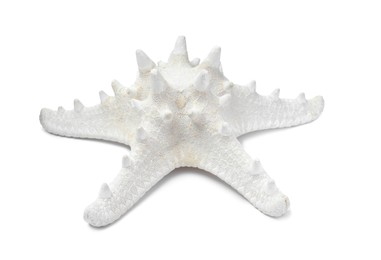 Photo of Beautiful sea star isolated on white. Beach object