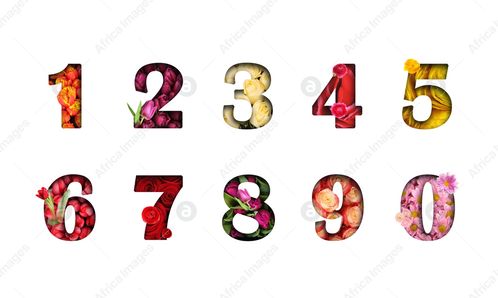 Image of Numbers made of flowers on white background