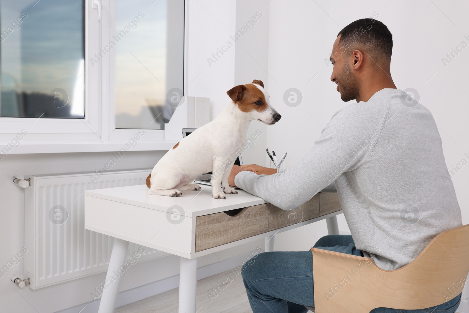 Photo of Young man with Jack Russell Terrier working at desk in home office