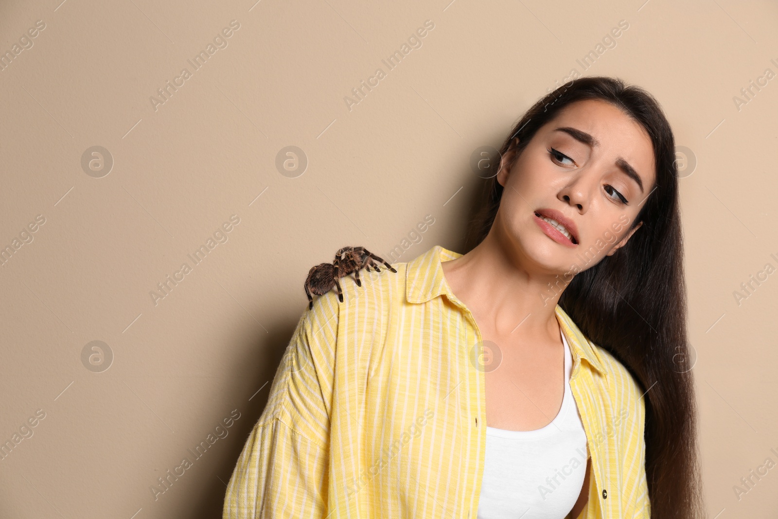 Photo of Scared young woman with tarantula on beige background. Arachnophobia (fear of spiders)