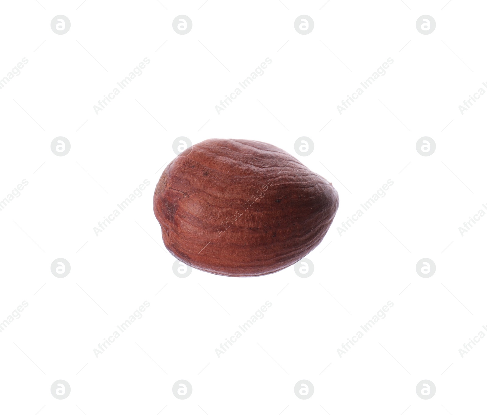 Photo of One delicious hazel nut isolated on white