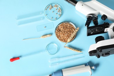 Food quality control. Microscope, petri dishes with wheat grains and other laboratory equipment on light blue background, flat lay