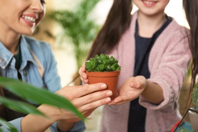 Photo of Mother and daughter taking care of potted plant at home, closeup