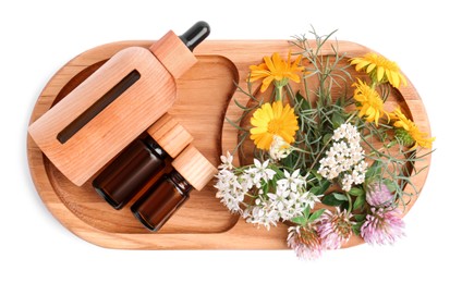 Tray with bottles of essential oils and different wildflowers on white background, top view