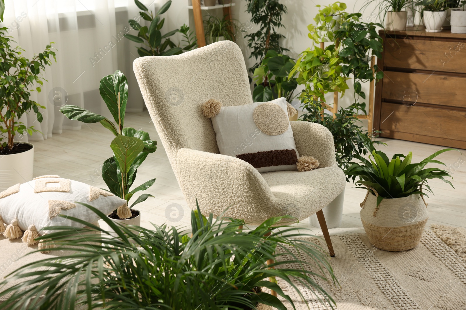 Photo of Relaxing atmosphere. Many different potted houseplants around stylish armchair in room