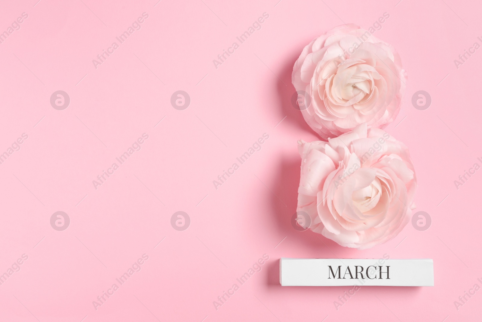 Photo of International Women's day. 8th of March made with beautiful flowers on light pink background, top view. Space for text