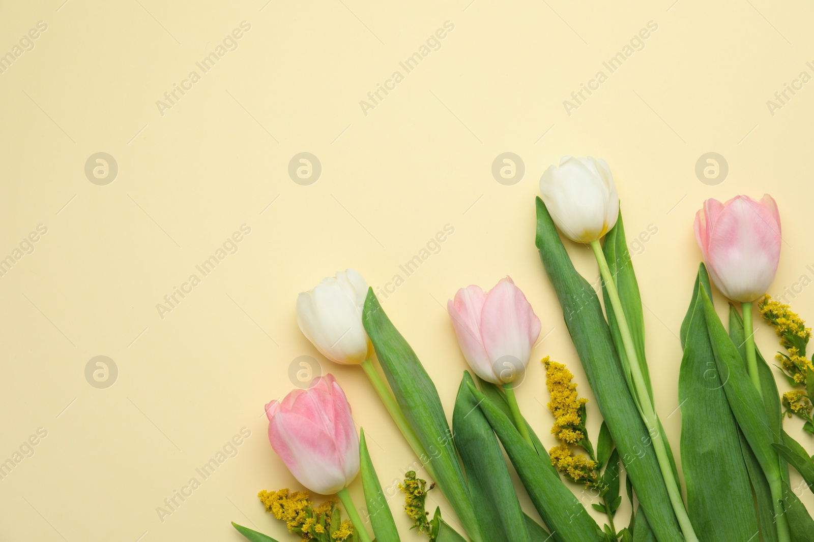 Photo of Flat lay composition with spring flowers on yellow background. Space for text