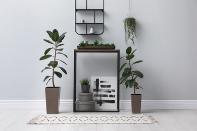 Console table with houseplants near light wall in room. Interior design