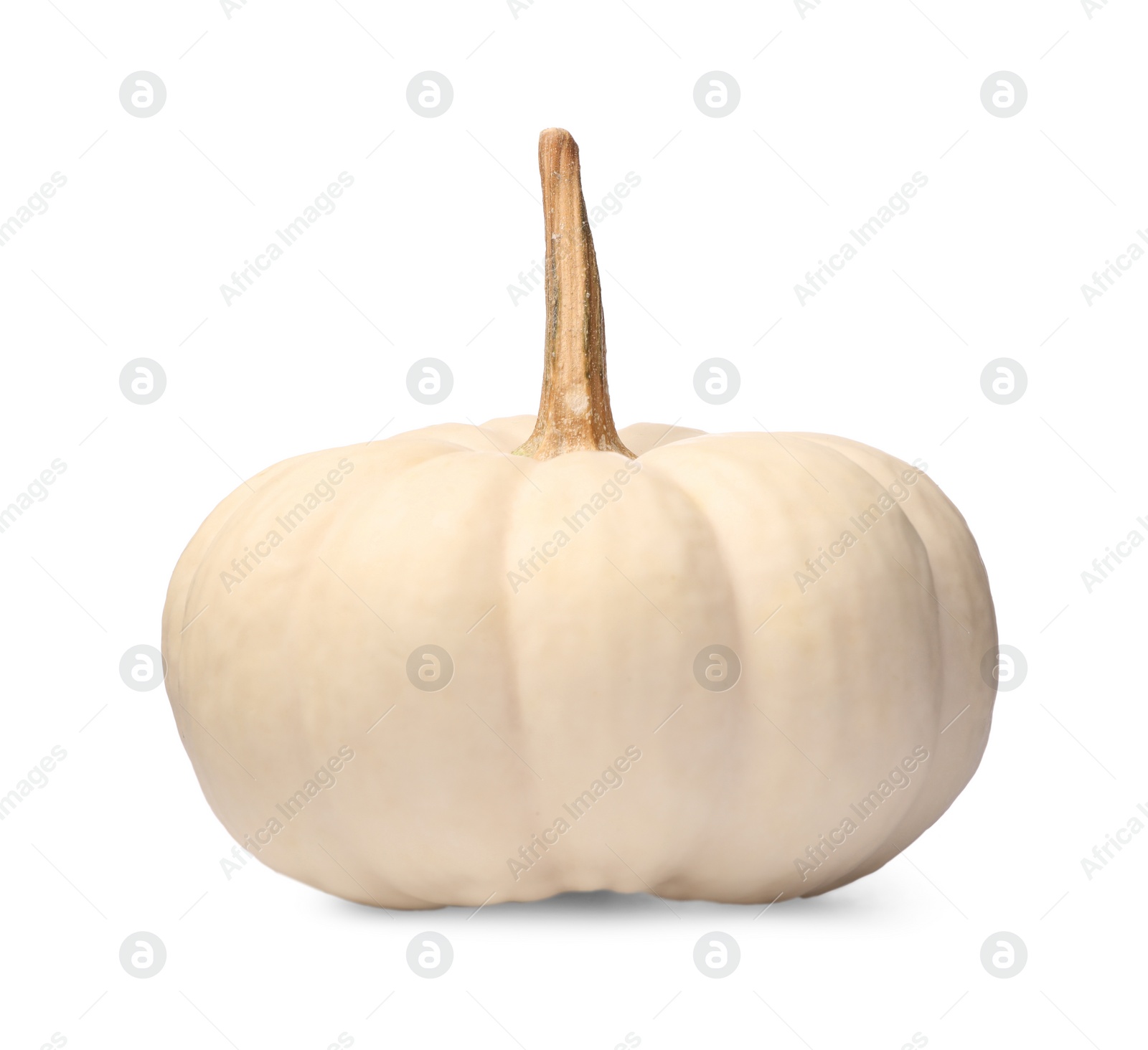 Photo of One whole ripe pumpkin isolated on white