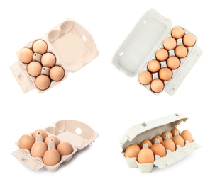 Set of fresh eggs on white background