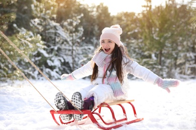 Photo of Cute little girl enjoying sleigh ride outdoors on winter day