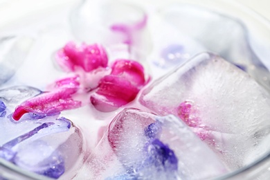 Photo of Glass with floral ice cubes and water, closeup