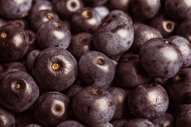 Photo of Fresh acai berries as background