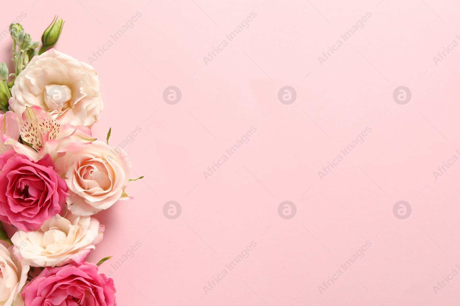 Photo of Happy Mother's Day. Beautiful roses on pink background, flat lay. Space for text