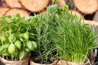 Different aromatic potted herbs on blurred background, closeup