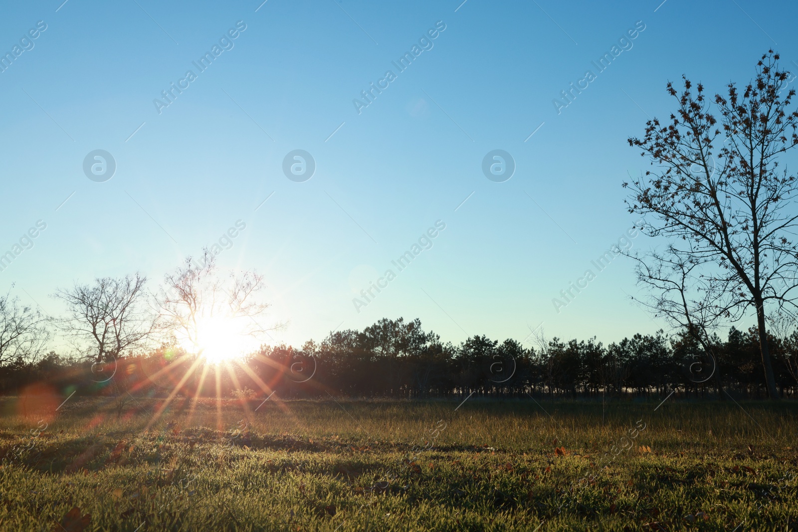 Photo of Picturesque view of beautiful countryside at sunset