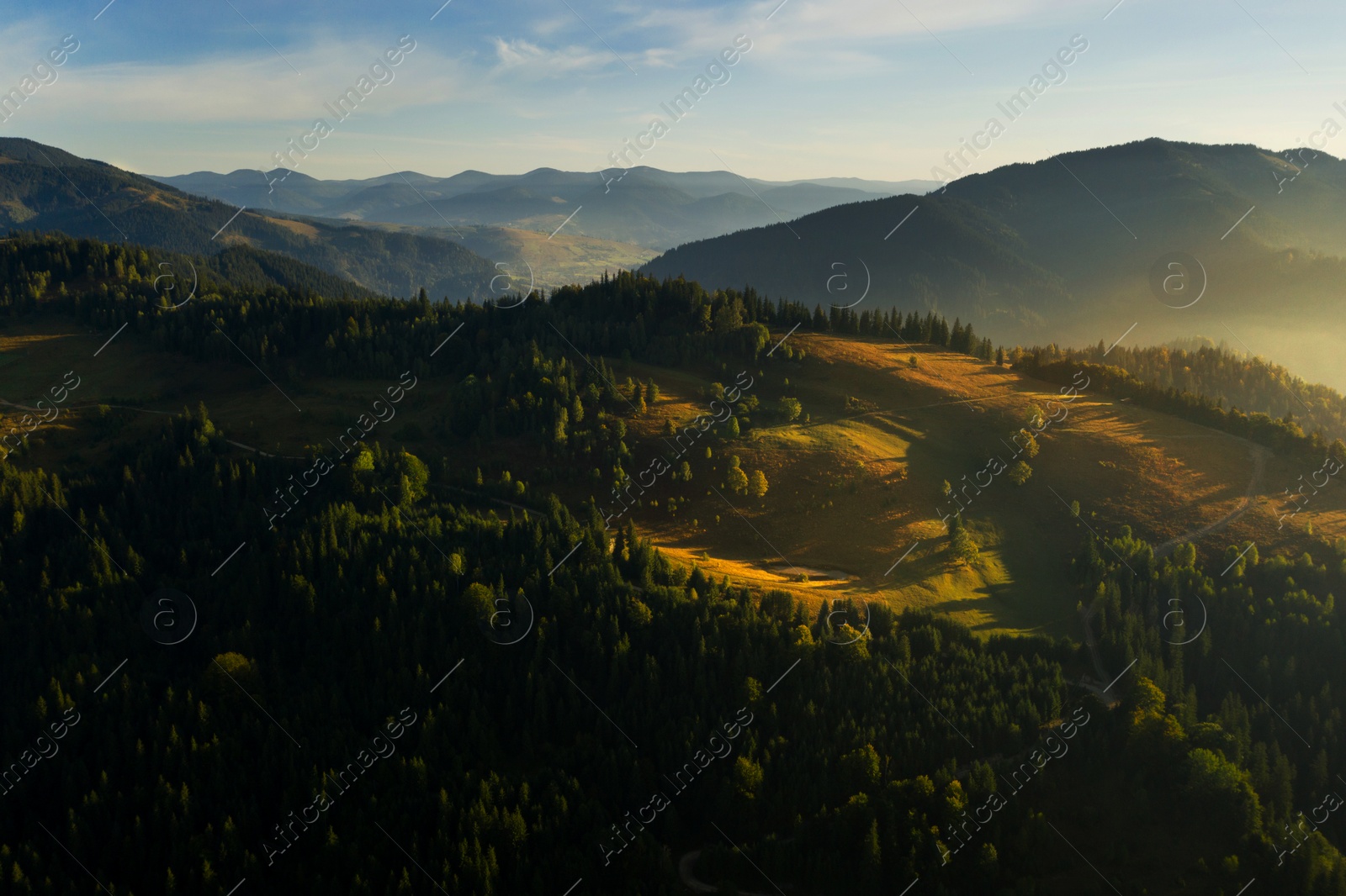 Image of Beautiful mountain landscape with green forest on sunny day. Drone photography