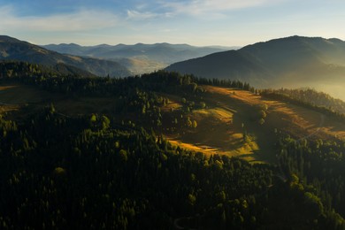 Beautiful mountain landscape with green forest on sunny day. Drone photography